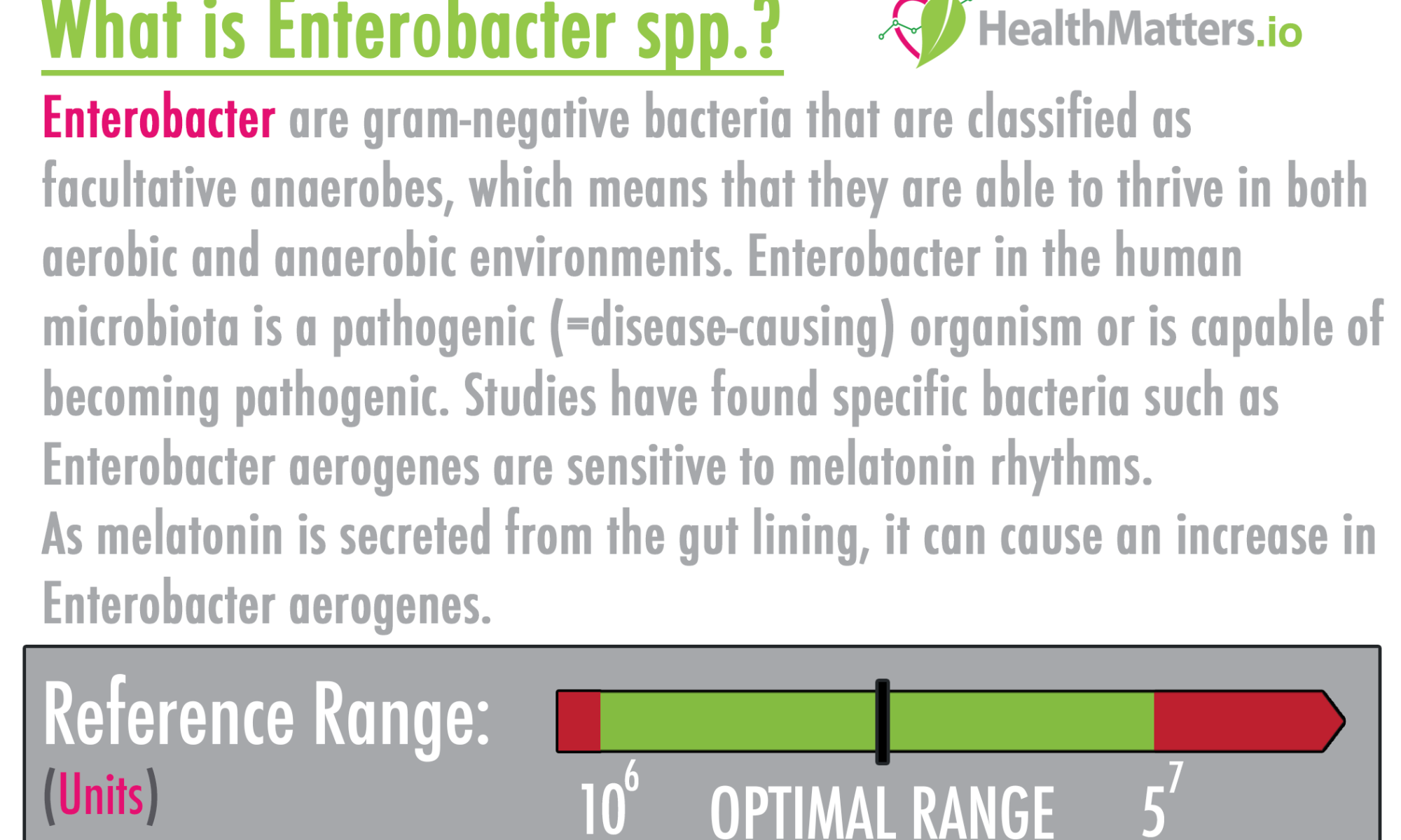 What is Enterobacter spp.? gut ubiome microbiome