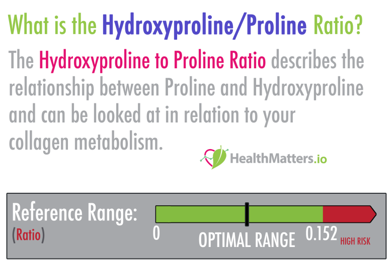 Hydroxyproline/Proline ratio high low meaning collagen vitamin c genova lab results interpretive interpretation