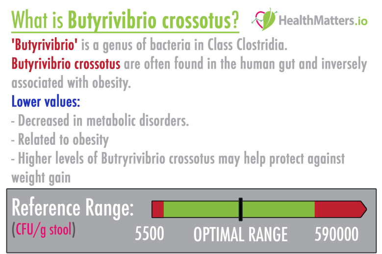 Butyrivibrio crossotus gut stool high levels meaning treatment obesity ubiome genova gdx healthmatters.io